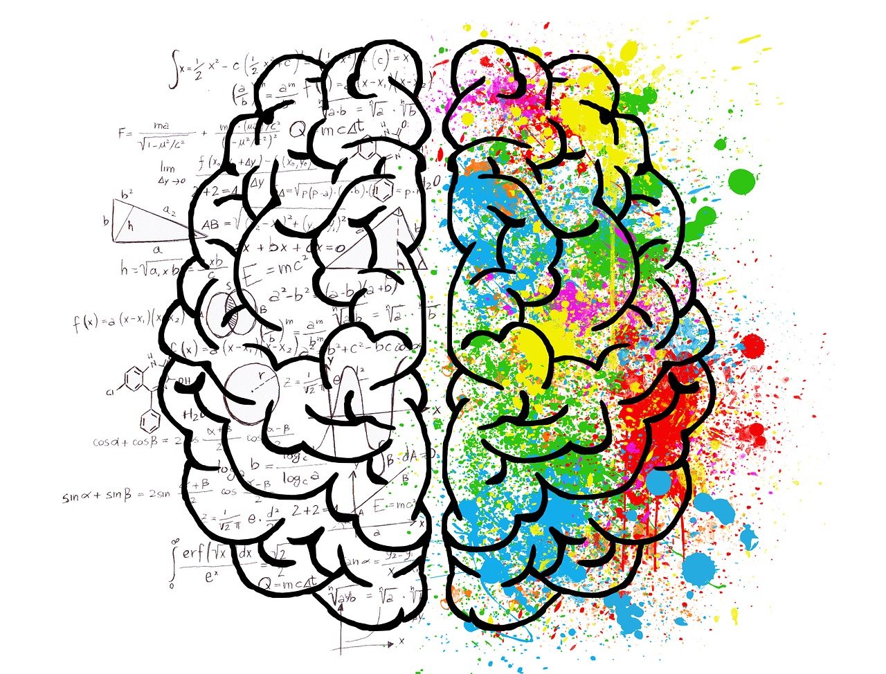 An image of a brain split into left and right side showing a mre analytical left side and creative right side.